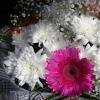 flowers.JPG