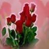 love5.jpg
